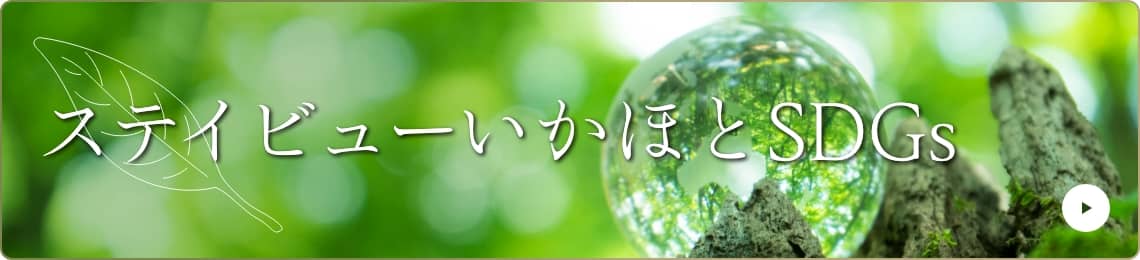 ステイビューいかほとSDGs